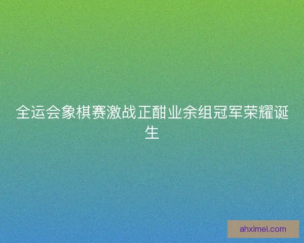 全运会象棋赛激战正酣业余组冠军荣耀诞生