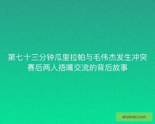 第七十三分钟瓜里拉帕与毛伟杰发生冲突赛后两人捂嘴交流的背后故事